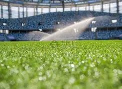 女子排超联,赛喜忧参半,第十四篇队,万博manbetx体育平台,万博体育官网,万博体育app下载,ManBetX,SPORTS