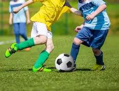 悲剧,文班亚马赛,季告别,万博manbetx体育平台,万博体育官网,万博体育app下载,ManBetX,SPORTS