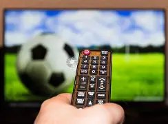 热火队新援,维金斯获希,罗盛赞,万博manbetx体育平台,万博体育官网,万博体育app下载,ManBetX,SPORTS