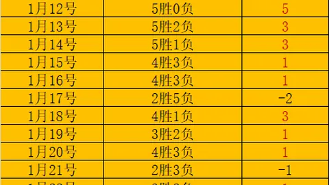 张之臻在澳网男单首轮以2-3惜败13号种子鲁内，首轮出局